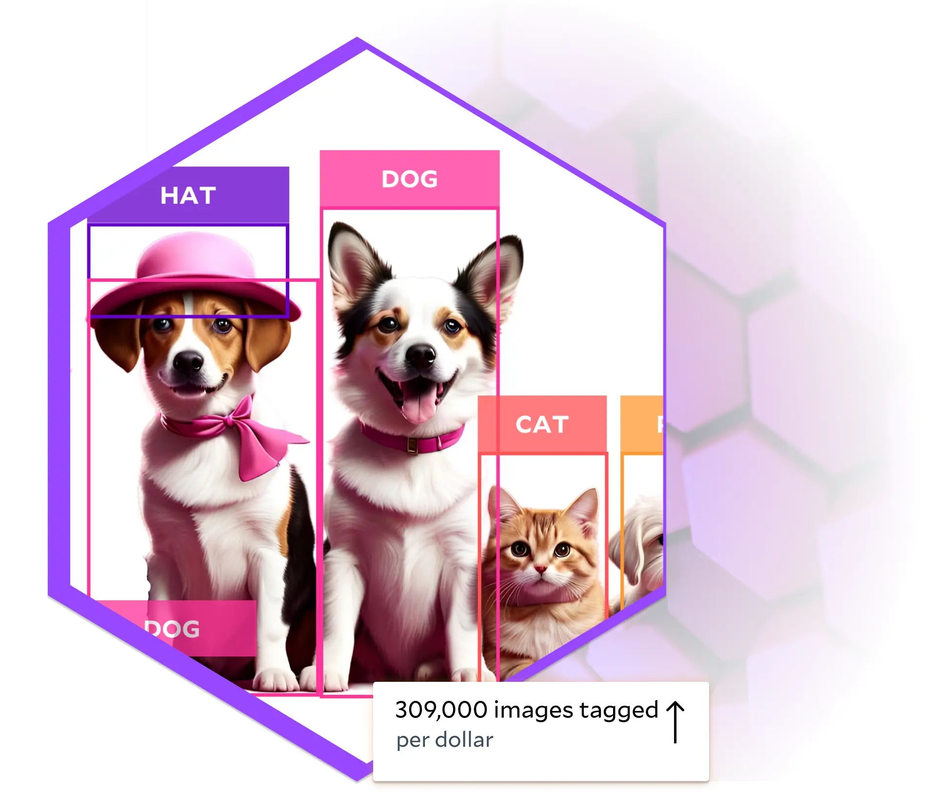 Computer vision gpu cloud
