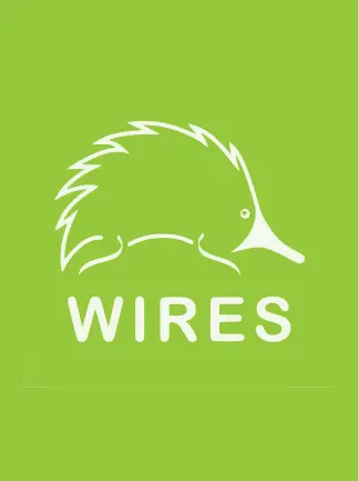 nsw wires